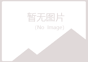 黑龙江夏岚采矿有限公司